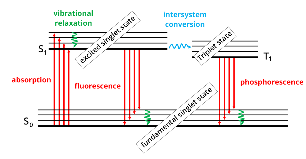 Jablonski diagram: absorption step leading to the excited singlet state, leading to the fluorescence step. The next state is the singlet ground state, passing to the triplet state leading to the phosphorescence stage