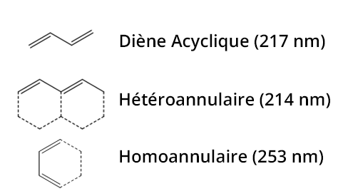 Exemples de 3 groupements ainsi que leurs longueur d'onde du maximum d'absorption. Diène acyclique : 217nm, Hétéroannulaire : 214nm, Homoannulaire : 253nm.