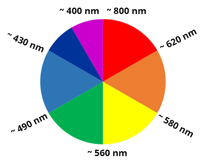 schéma d'un cercle chromatique : les couleurs de l'arc en ciel sont réparties dans le cercle, l'angle réprésentant la longueur d'onde et donc la couleur.