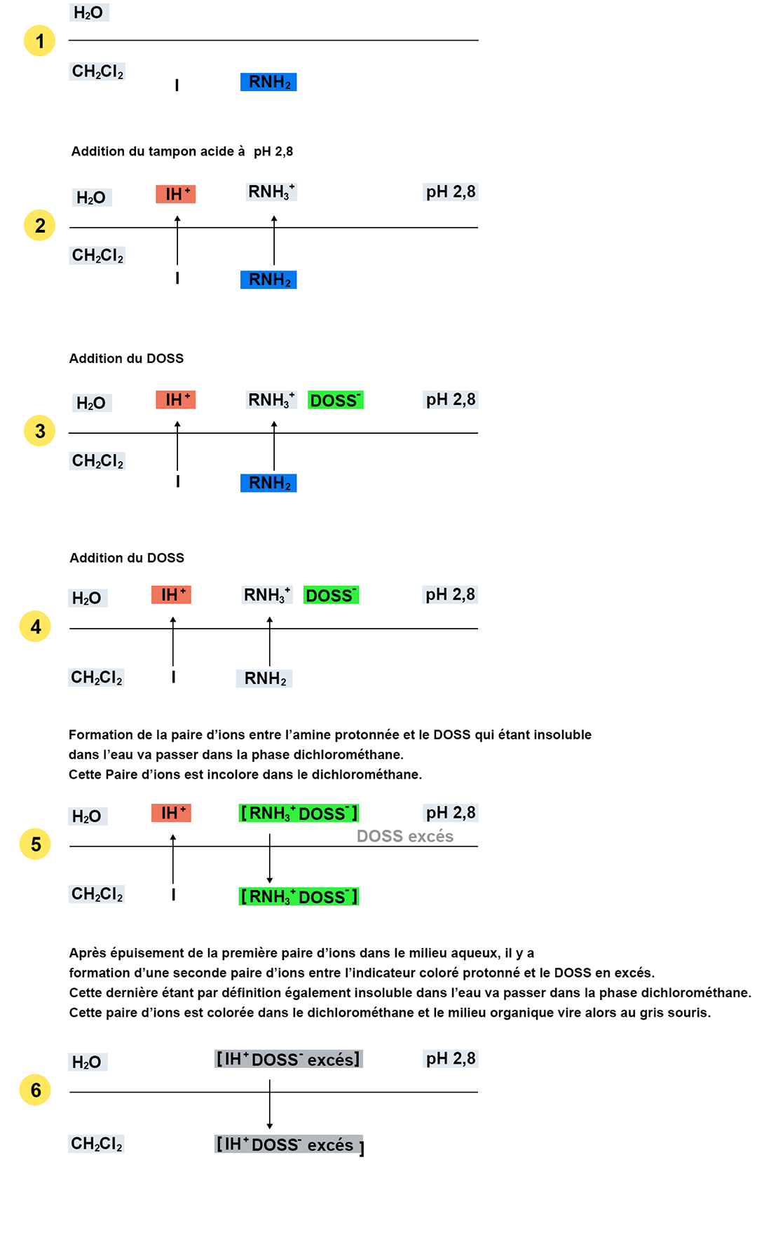 schéma du principe du dosage : etape 1 : addition du tampon acide à pH 2,8, etape 2 : addition du DOSS, étape 3 : addition du DOSS, étape 4 : formation de la paire d'ion entre l'amine protonnée et le DOSS, étape 5 : formation d'une seconde paire d'ions entre l'indicateur coloré protonné et le DOSS en excès