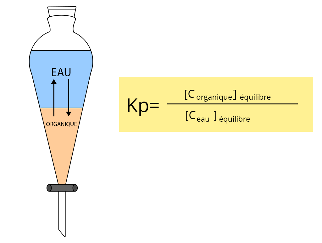 Schéma de l'ampoule à décanter. Elle contient en haut l'eau, et en bas organique. Kp = [Corganique]équilibre / [Ceau]équilibre