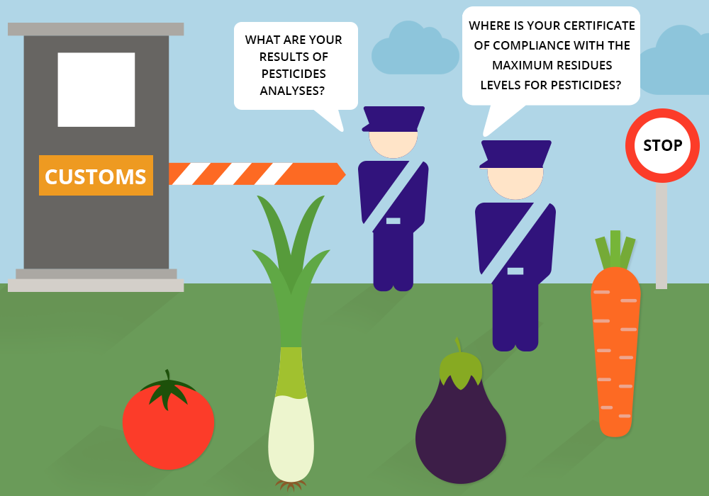Illustration: 4 vegetables are stopped at the border by 2 customs officers. The first one asks: what are your pesticide analysis results? The other asks: where is your certificate of compliance with the maximum residue limits of pesticides?