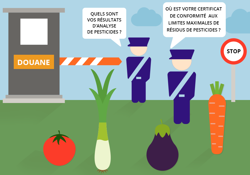 Illustration : 4 légumes sont arrêtés à la frontière par 2 douaniers. Le premier demande : quels sont vos résultats d'analyse de pesticides ? L'autre demande : où st votre certificat de conformité aux limites maximales de résidus de pesticides ?